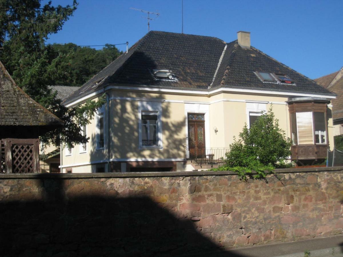 Appartement Et Gite Chez L'Habitant Guebwiller Esterno foto