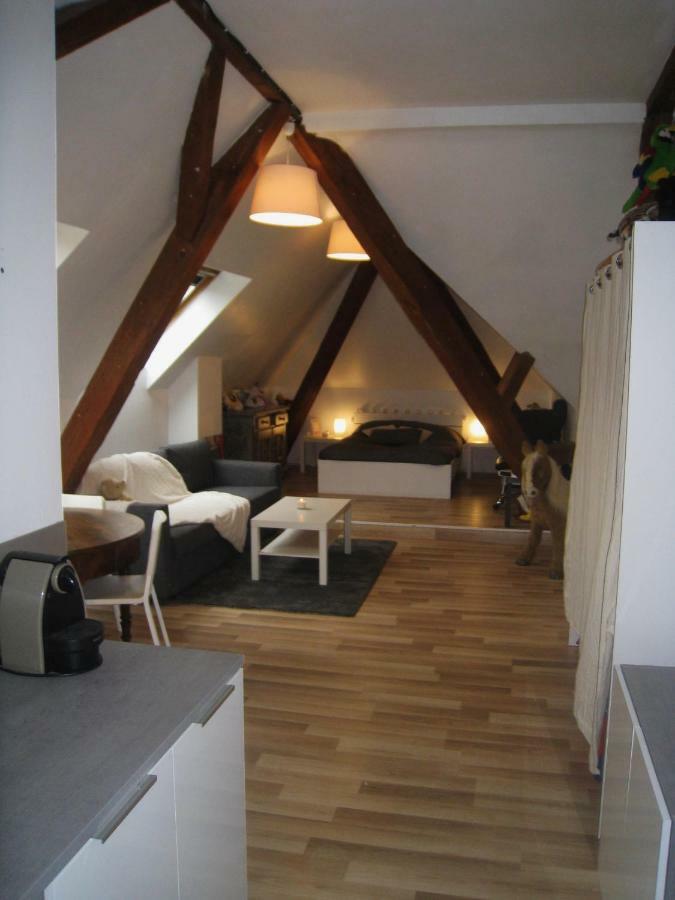 Appartement Et Gite Chez L'Habitant Guebwiller Esterno foto