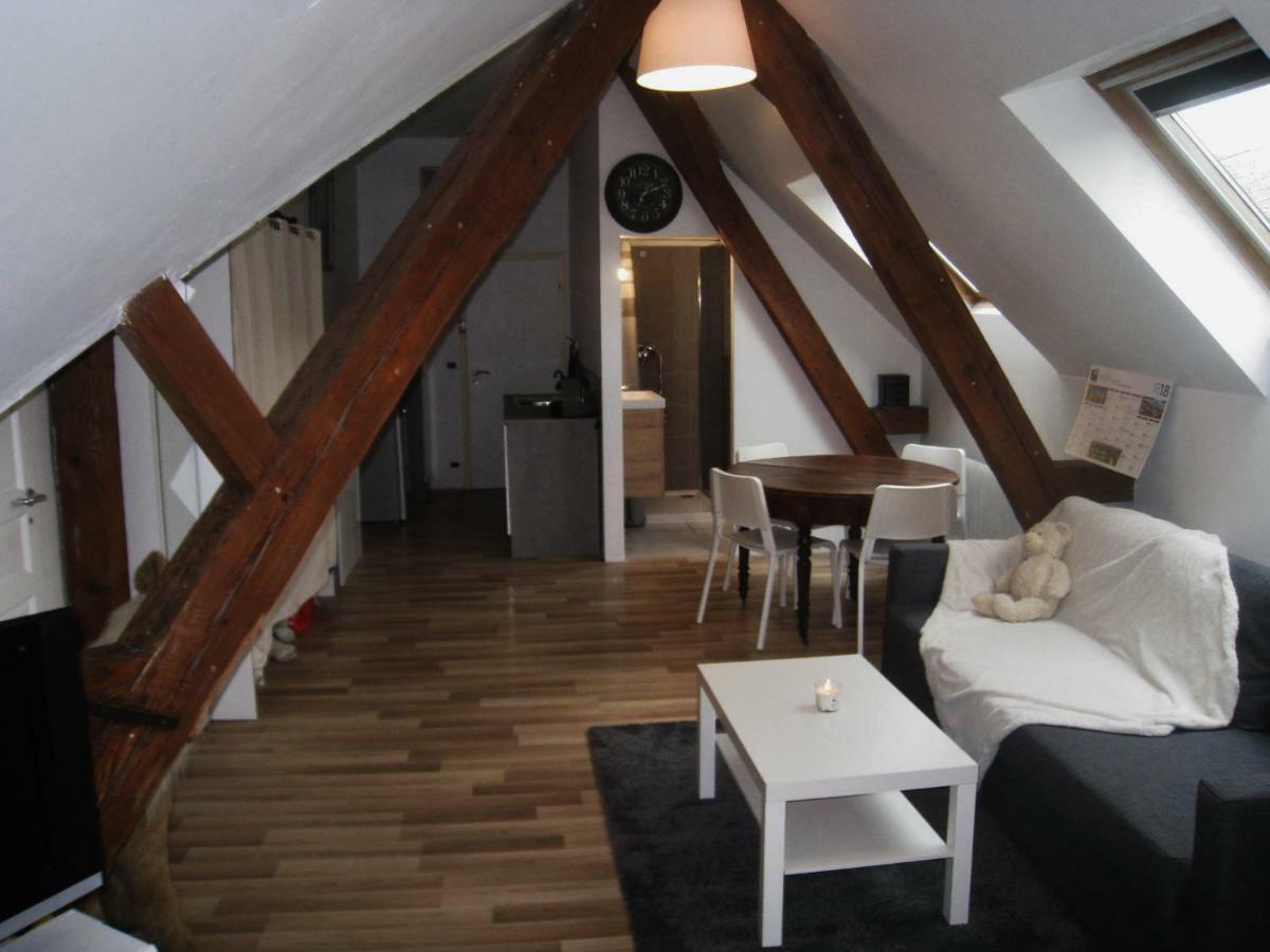 Appartement Et Gite Chez L'Habitant Guebwiller Esterno foto